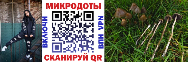 купить наркотик  МЕГА как войти  Галлюциногенные грибы Cubensis  Шахунья 