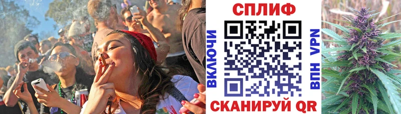Бошки Шишки тримм  Шахунья 